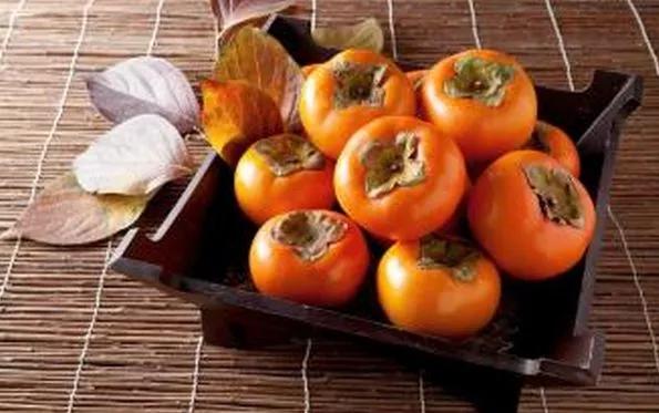 圣元医药 ‖金秋10月吃什么最养生？这五种食物可帮你完美过秋