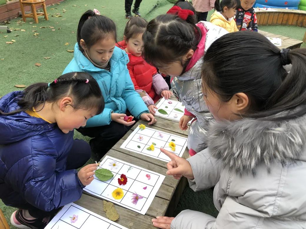 巧用天然材料，感受自然之美丨天府新区华阳幼儿园开展户外活动