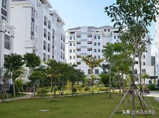 买得起房也要看对房！买房时一定要记住这个成语，不然会后悔
