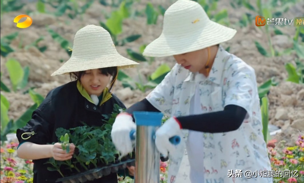 《向往的生活》两个90后，一个痛病缠身，一个赛过大胃王