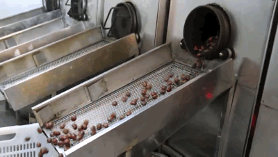 一夜狂赚200万！中国最土网红店，为啥能火上央视？