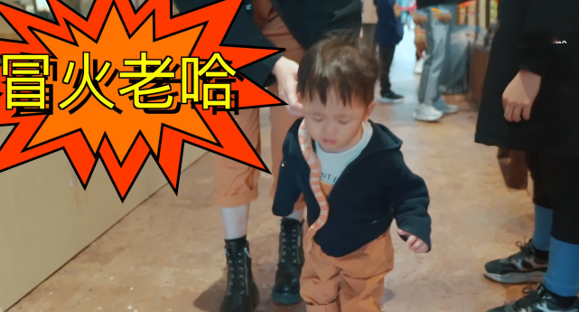 張晉曬一家五口幸福出遊，蔡少芬再現坑娃日常，兒子被嚇到大哭