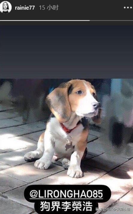 终于|杨丞琳李荣浩终于见面了 结束300天异地状态太难得