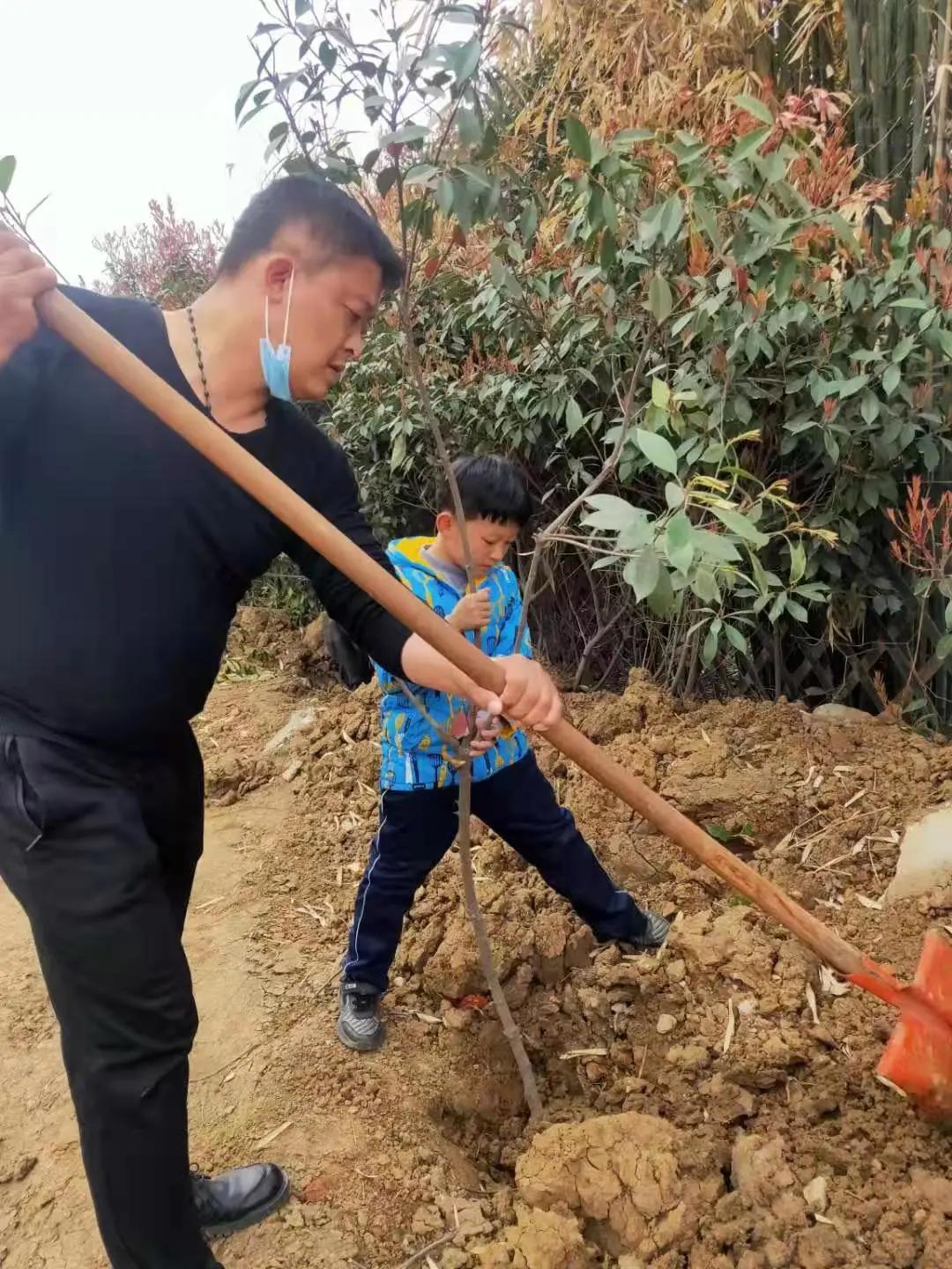 ��֮��.ֲ�̻���--�����еھ�Сѧֲ���ڻ��Ӱ