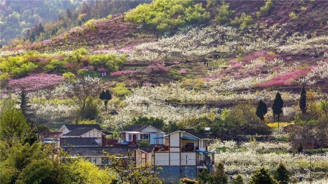 高速15分钟直达，这座城市比成都更安逸，却有