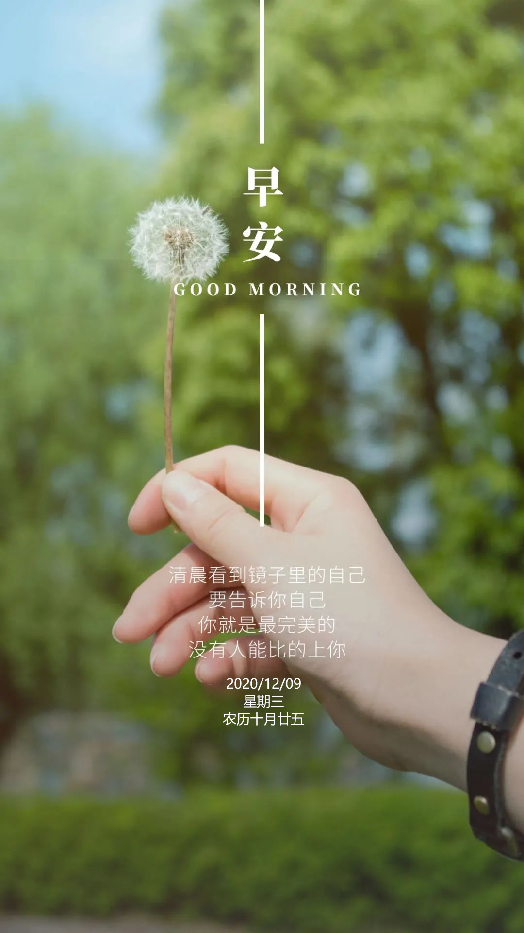 最新正能量早安问候语句子,12月9励志阳光早安图片带字,加油