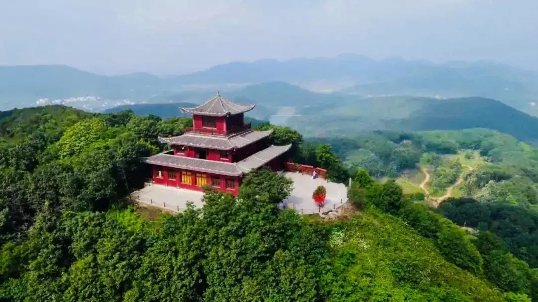 赏花避暑摘葡萄,蔡甸这9个地方带你花样度夏!