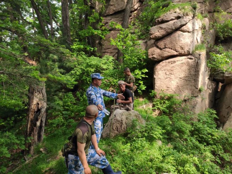 培育优势树种，创建现代化国有林场