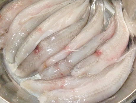 图片[2]-蒸龙头鱼的做法步骤图 8元一斤不贵-起舞食谱网