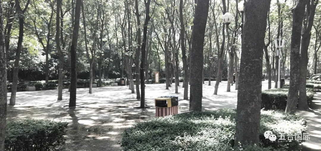 上街区铝城公园改造最新进展 | 附效果图