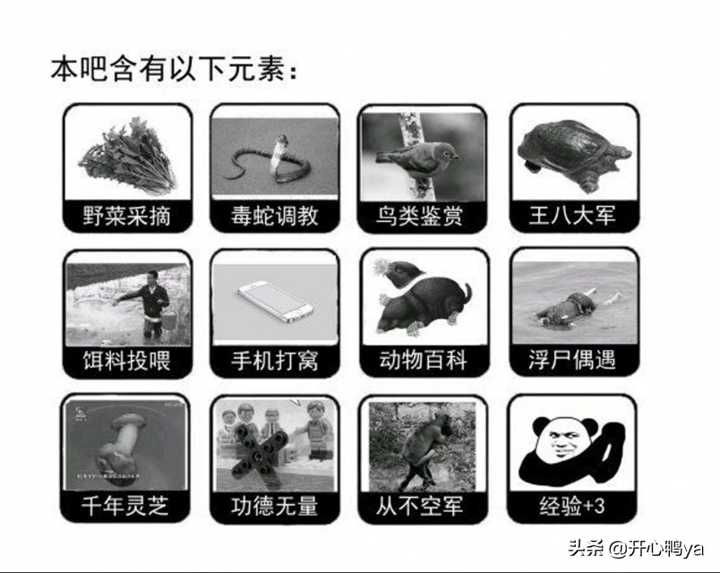 偶遇浮尸，捡到枪炮，搞到水牛的神秘组织，居然是钓鱼老哥！