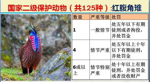 国家最新125类二级野生保护名录，图片及违法对应刑责