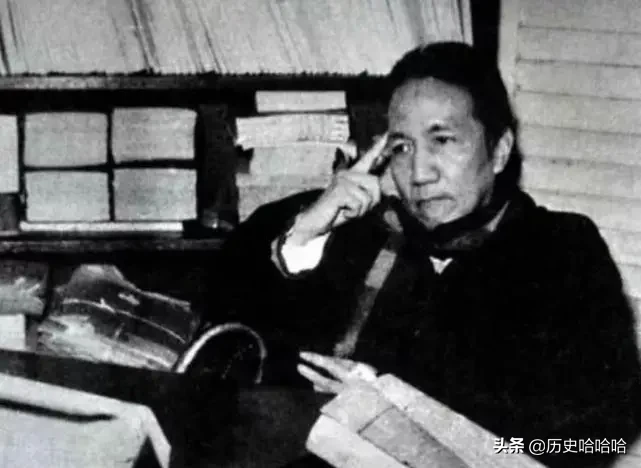 老人被鬼子抄家,用日语大骂,日军高官:师哥,打扰了