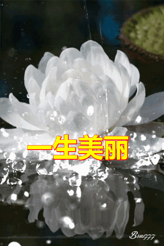 一心一意|正月十一一心一意的祝福送给群里的朋友 越早打开越幸福