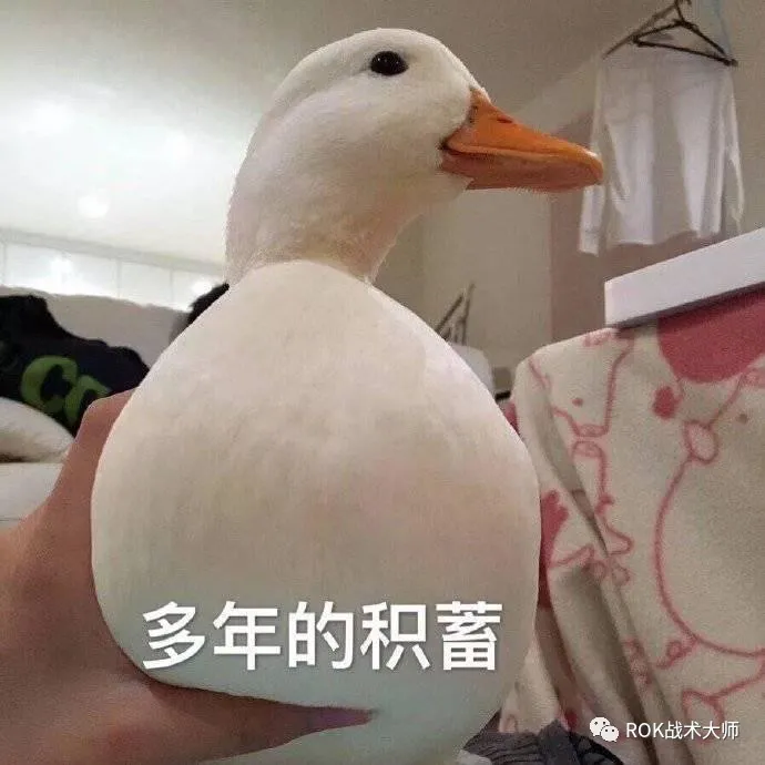 万国觉醒丨K4英雄赞歌介绍（下）