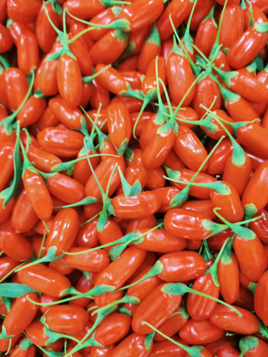 感受,中药之美(鲜枸杞)