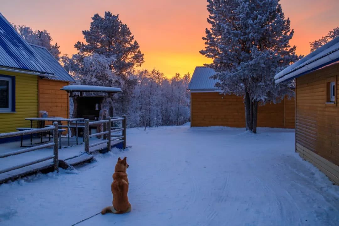 北極向北，邂逅一場絕美極光