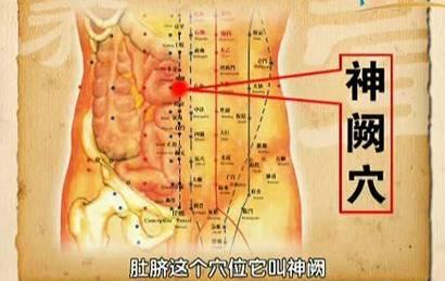 每日一穴：神阙穴