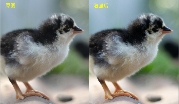 顶级4K屏，惠普ENVY 15 RTX Studio何体验？