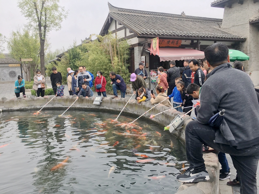 中秋國慶喜相逢，洽川濕地氣氛濃（組圖）