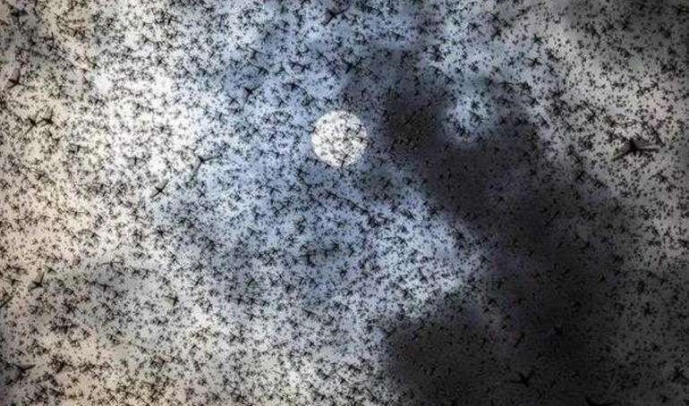 史无前例成家常便饭！2020年到底有多魔幻？