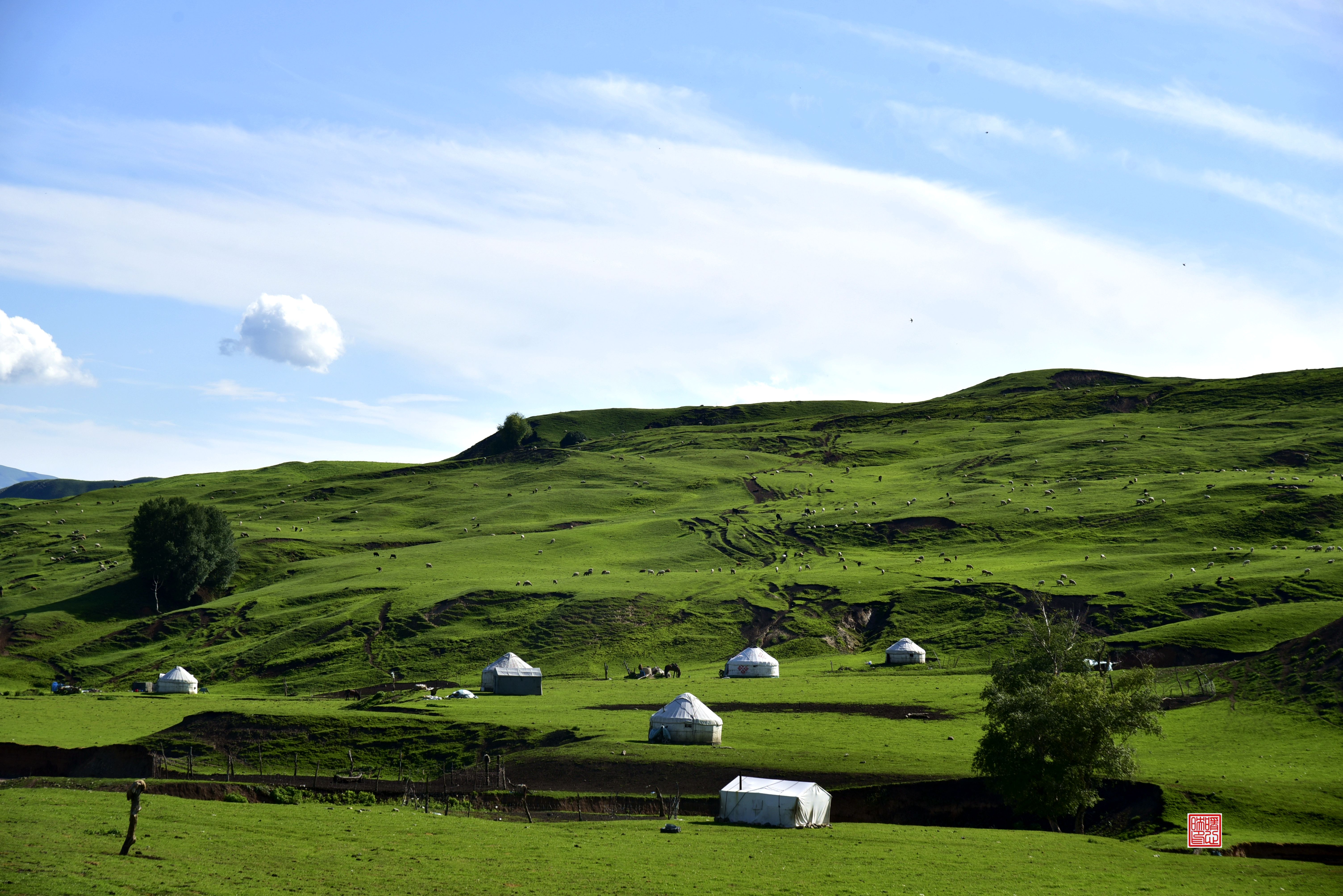 休闲避暑好去处将军谷雪岭云杉美如画