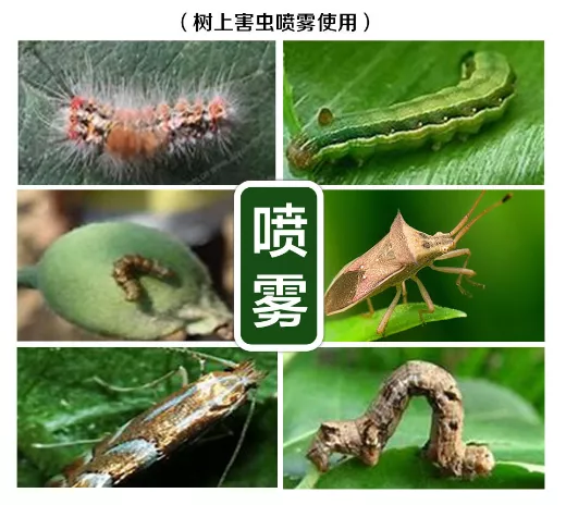 8種常用農(nóng)藥介紹，價(jià)格便宜效果很好！
