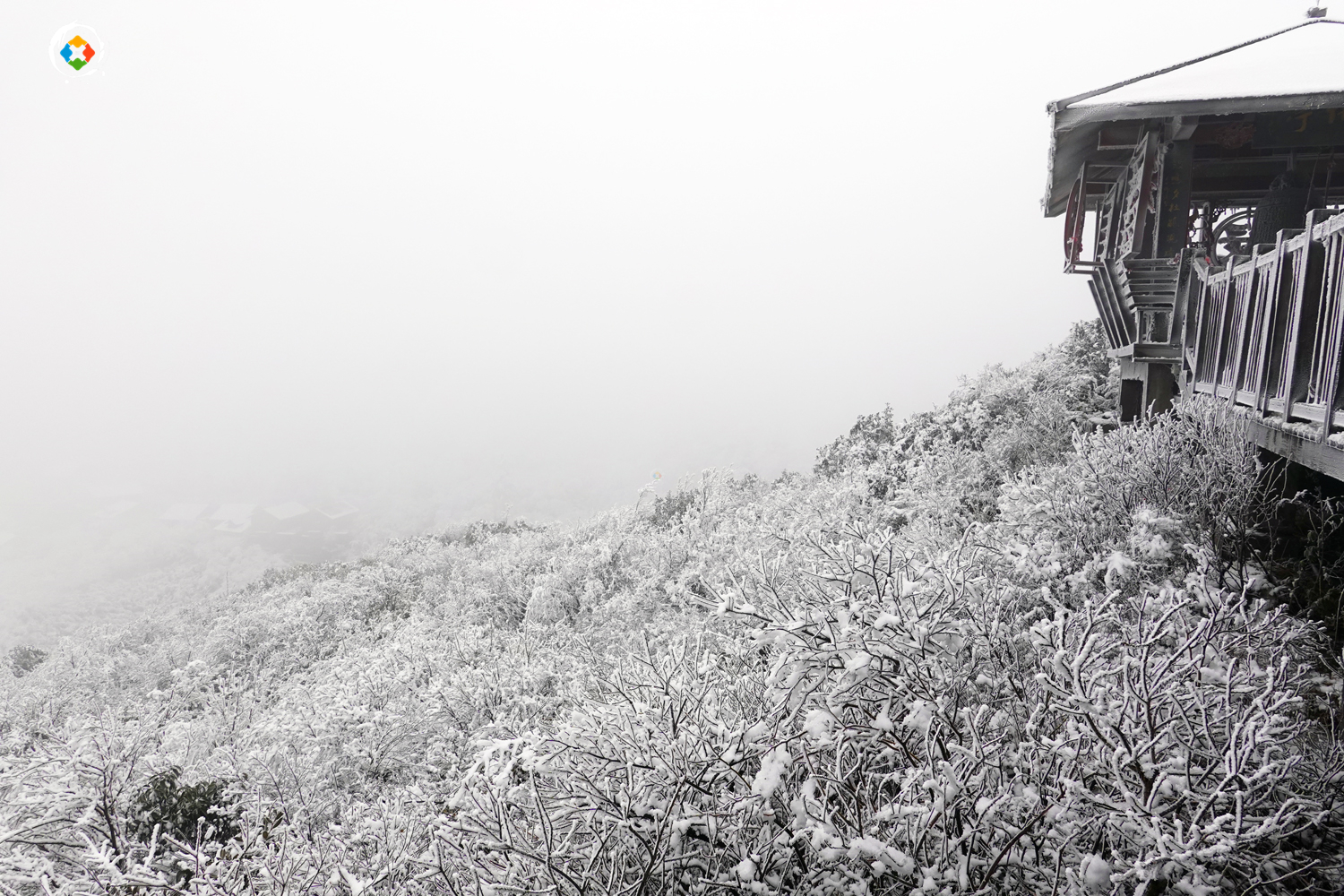 重庆金佛山冬日游：这个国家级5A景区，是不是真的徒有虚名？