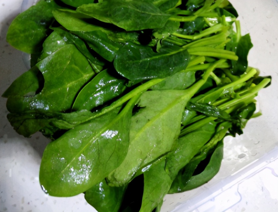 圖片[2]-菠菜饅頭的做法步驟圖 冷天蒸饅頭發(fā)酵太慢用上1招30分鐘發(fā)滿盆-起舞食譜網
