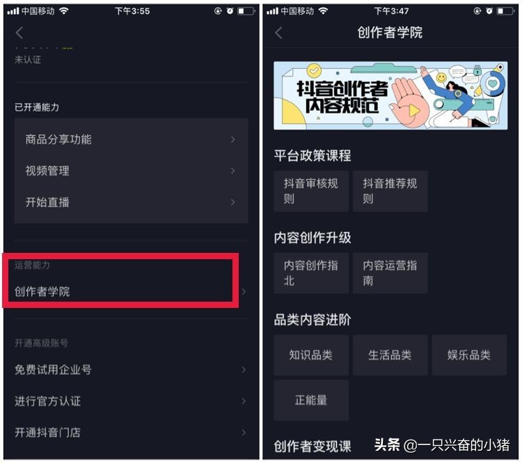 抖音直播带货怎么开通，最新政策来了？