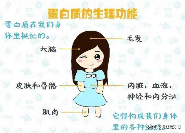 健康知識普及行動系列科普知識講座之合理膳食篇