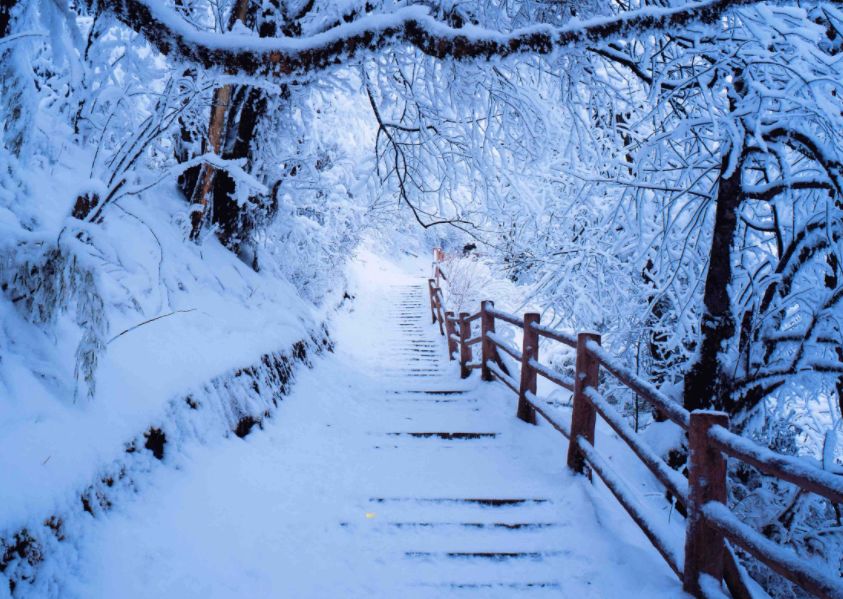 「诗词鉴赏」唐诗里的冬天，意境悠远，回味无穷-第22张图片-诗句网