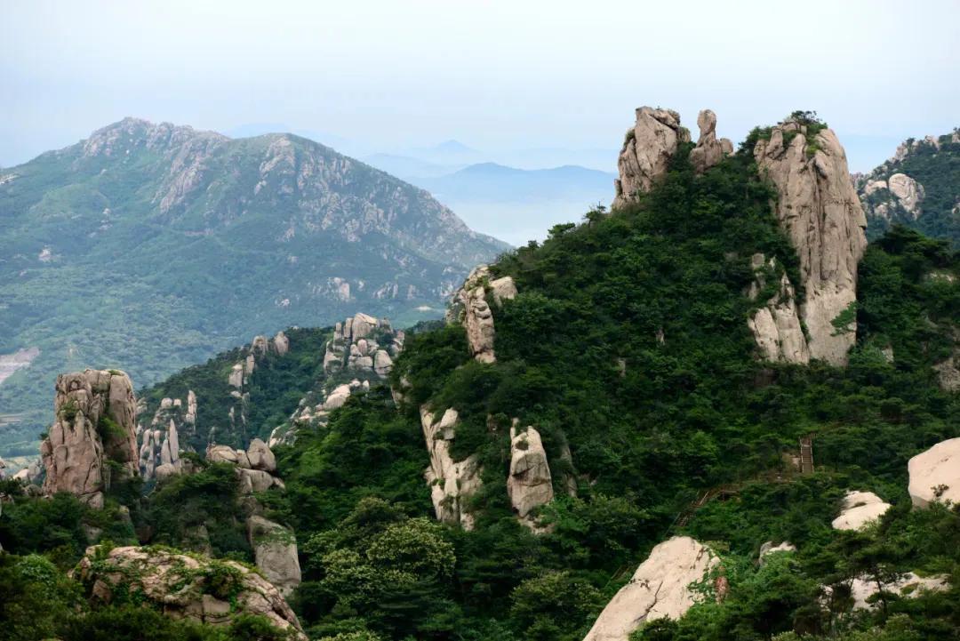 五蓮九戒壯黑豬散養(yǎng)基地