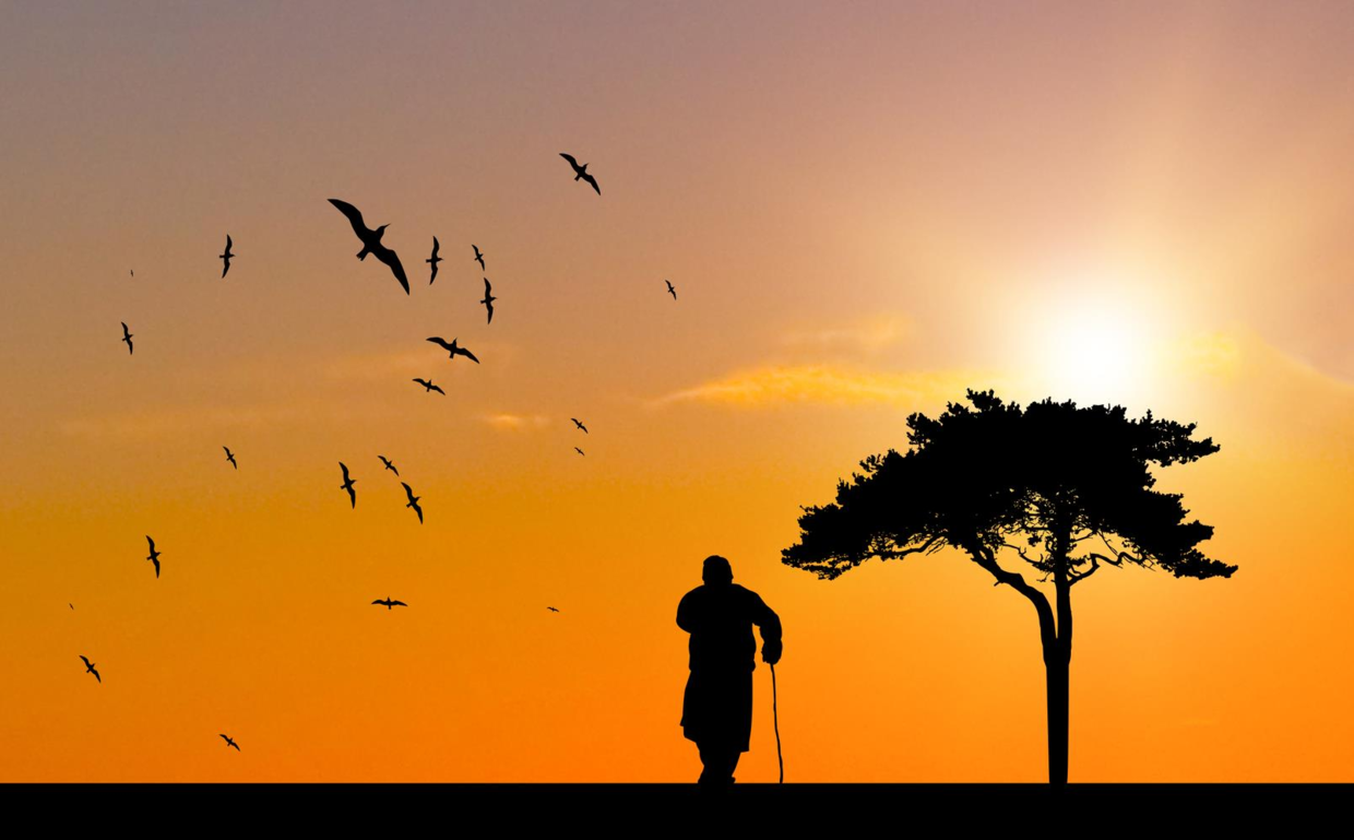 山东当代诗人王波作品欣赏