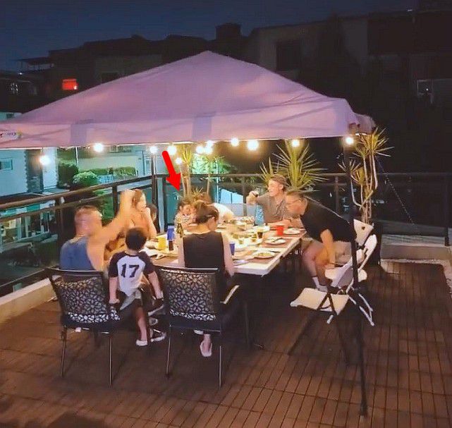 林心如晒下厨动态意外公开女儿声音，霍建华边等吃边陪小海豚玩