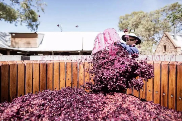澳洲出口不合格品，中國海關重拳出擊，3.43噸紅酒被倒掉退回