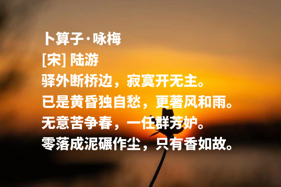 用一生谱写爱国主义壮歌-第2张图片-非凡网