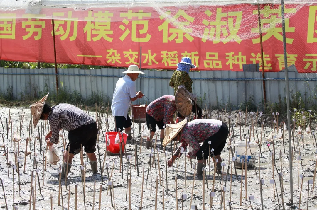 优秀~福建这些劳模工作室收获新荣誉