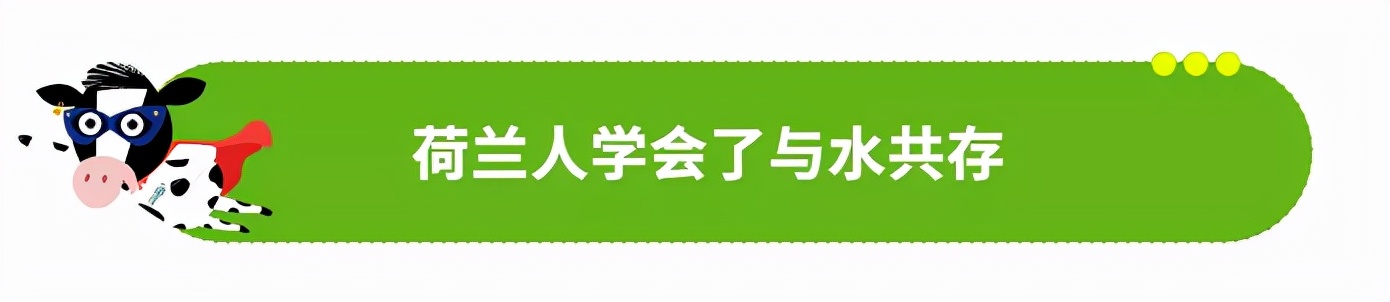 下雨天荷兰人为什么不打伞？