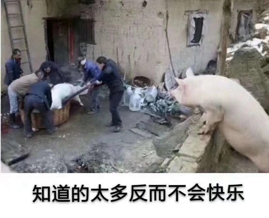 每日一笑：晋朝为何史书都不愿记载