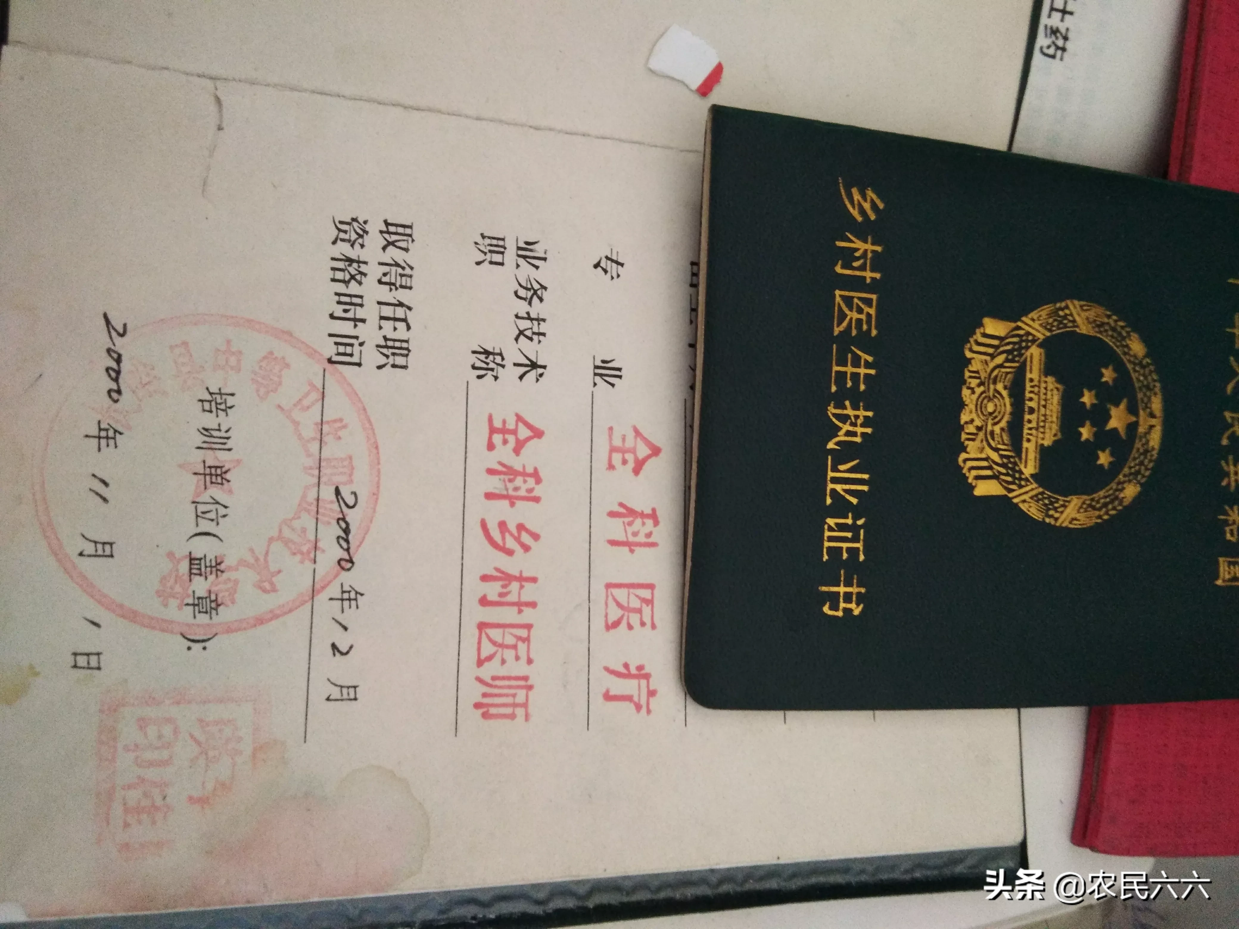 痛风的诊断和中医药治疗