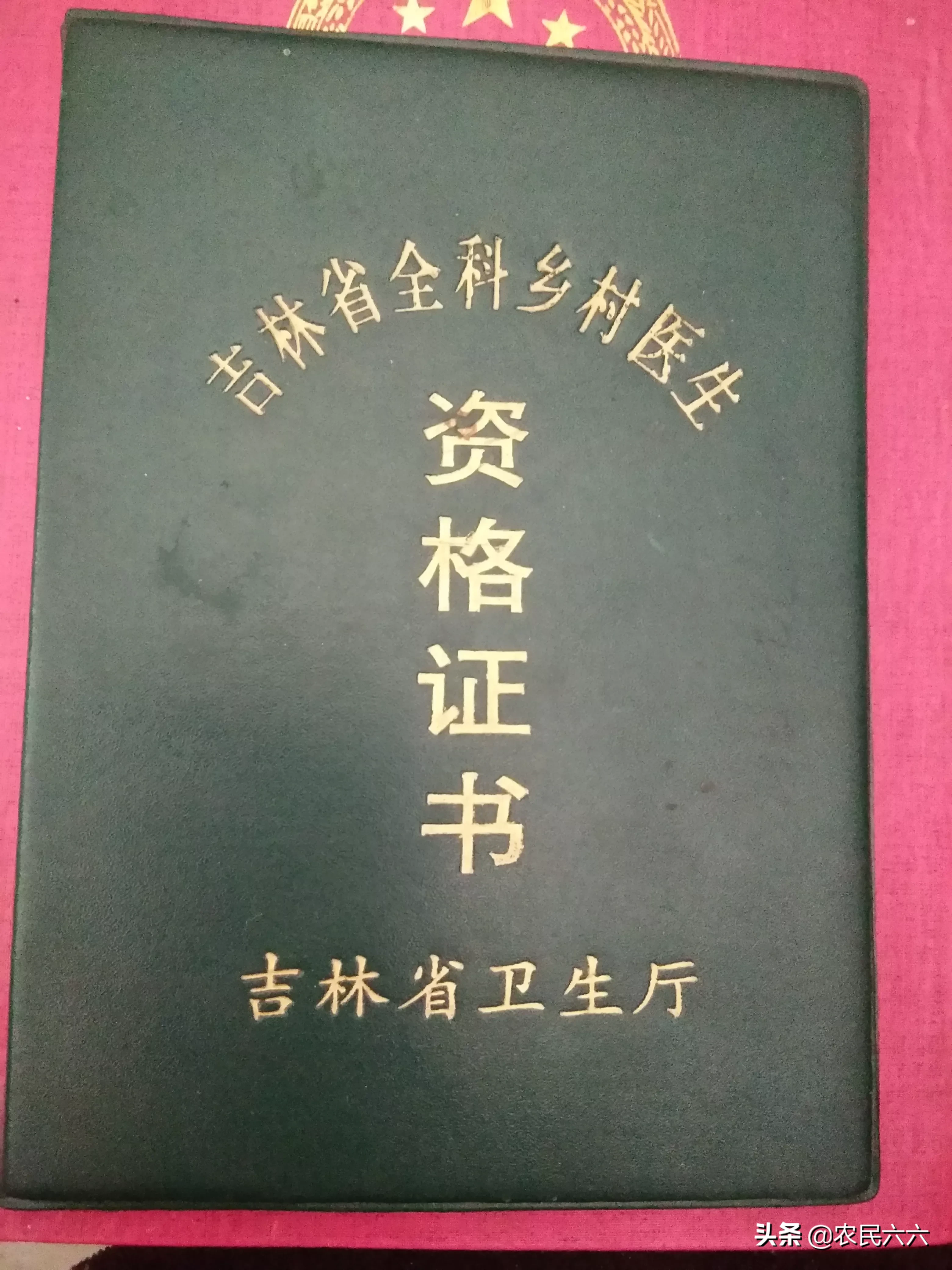 痛风的诊断和中医药治疗