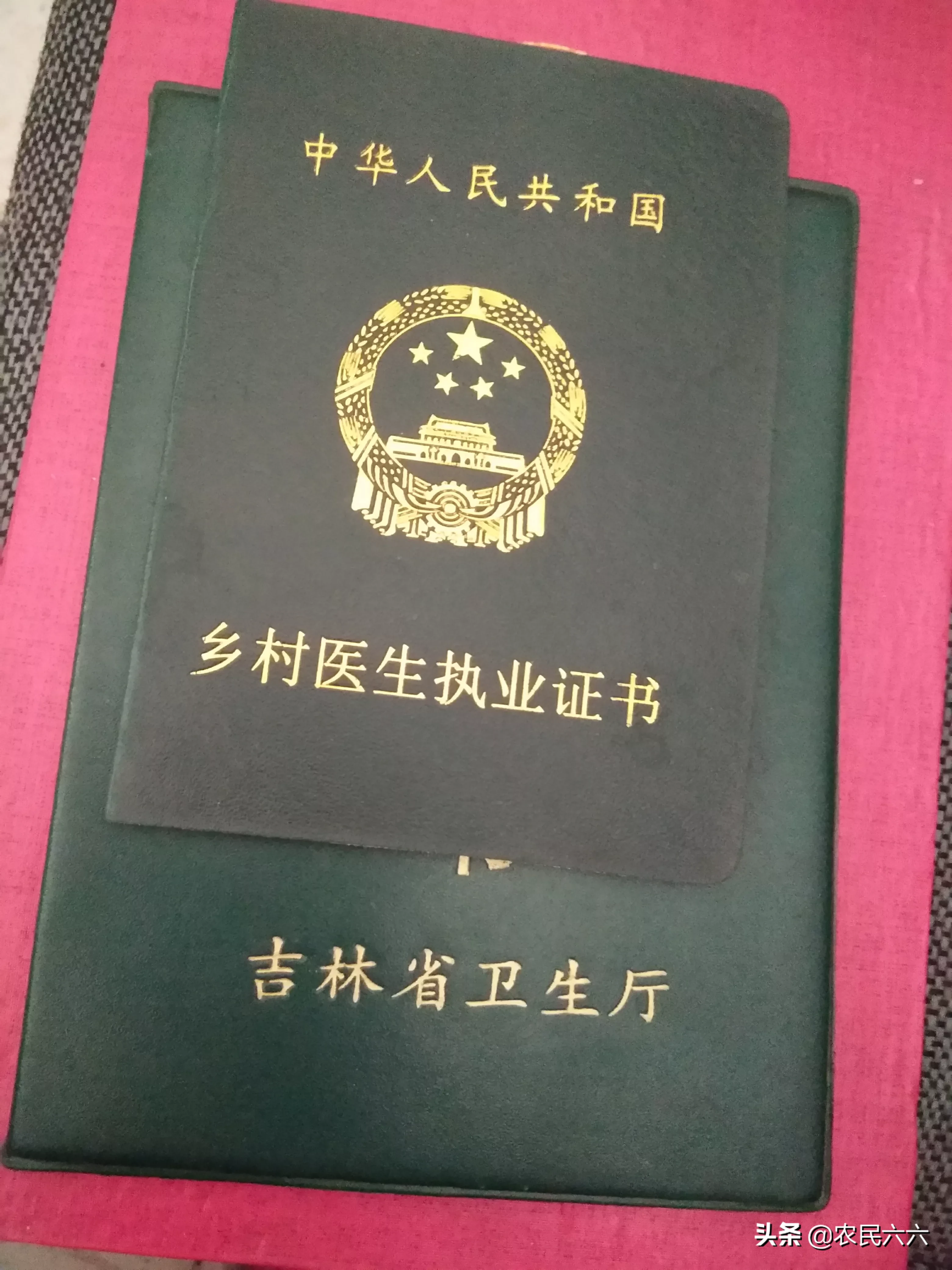 痛风的诊断和中医药治疗
